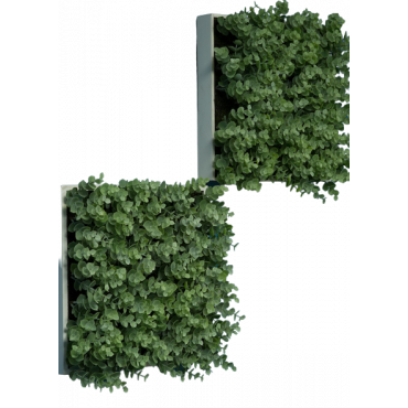 Mur végétal artificiel modèle Tendance pour la décoration de vos murs